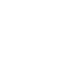 Portrait de femme